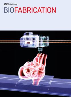 Long-Term Mechanical Loading Is Required for the Formation of 3D Bioprinted Functional Osteocyte Bone Organoids