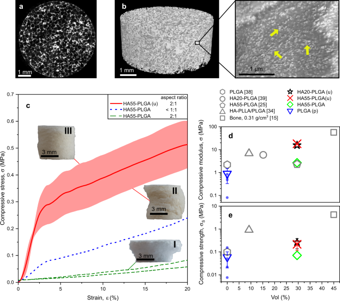 Time-Lapsed Imaging of Nanocomposite Scaffolds Reveals Increased Bone Formation in Dynamic Compression Bioreactors