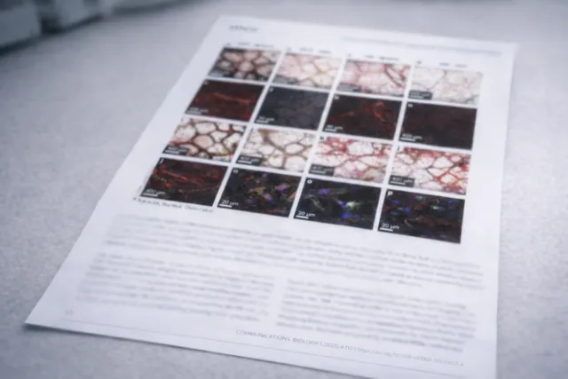 Scientific lab environment