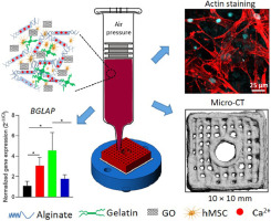 3D Bioprinting of Graphene Oxide-Incorporated Cell-Laden Bone-Mimicking Scaffolds for Promoting Scaffold Fidelity, Osteogenic Differentiation, and Mineralization