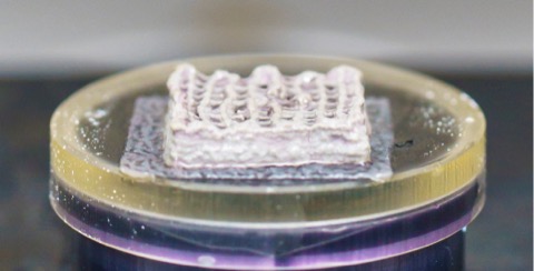 Mechanical loading setup